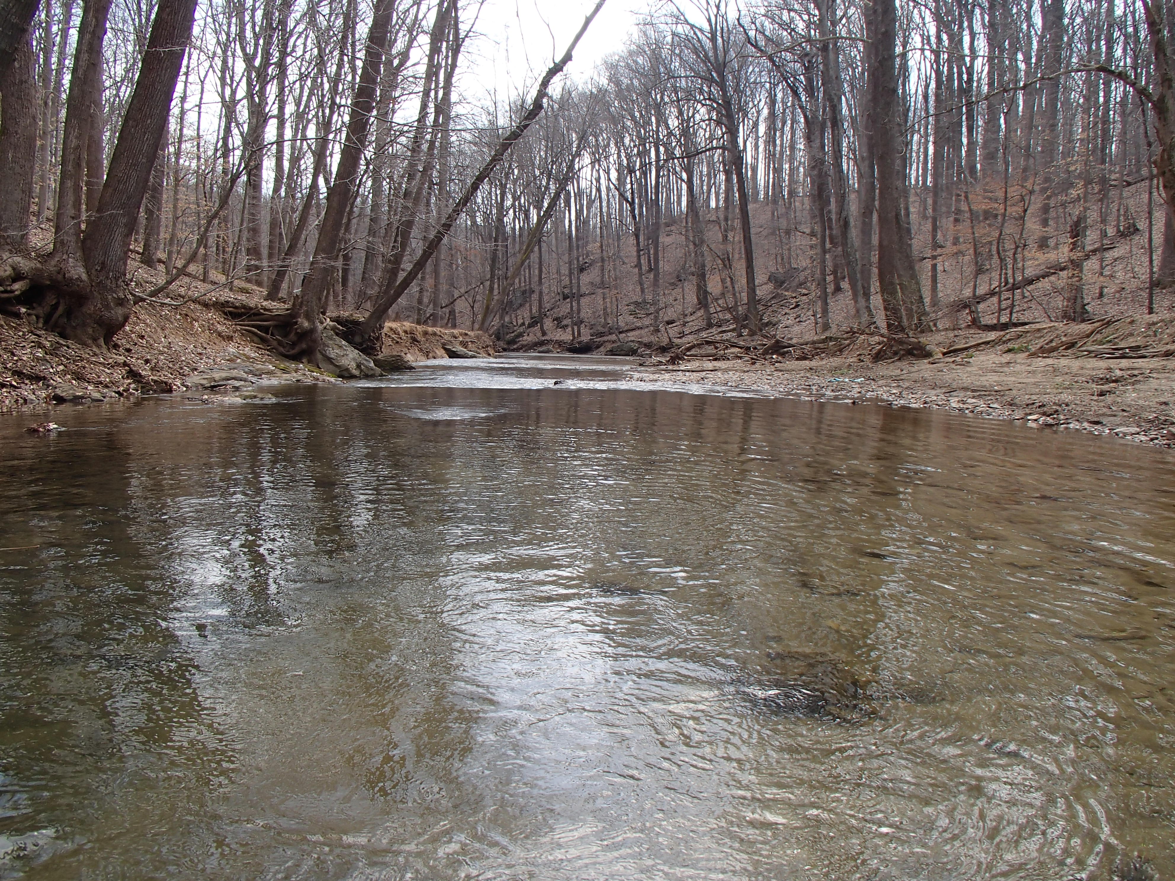 Field photo showing stream conditions at site ATKI-302-R-2016_midpoint downstream